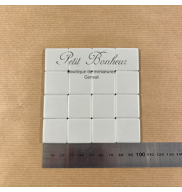 Carrelage mat 2,5cm/2,5cm (16pc)