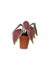 The Mouse Mansion Kit feuilles décoratives maison de souris 1:12 – accessoires miniatures en papier pour toutes les pièces