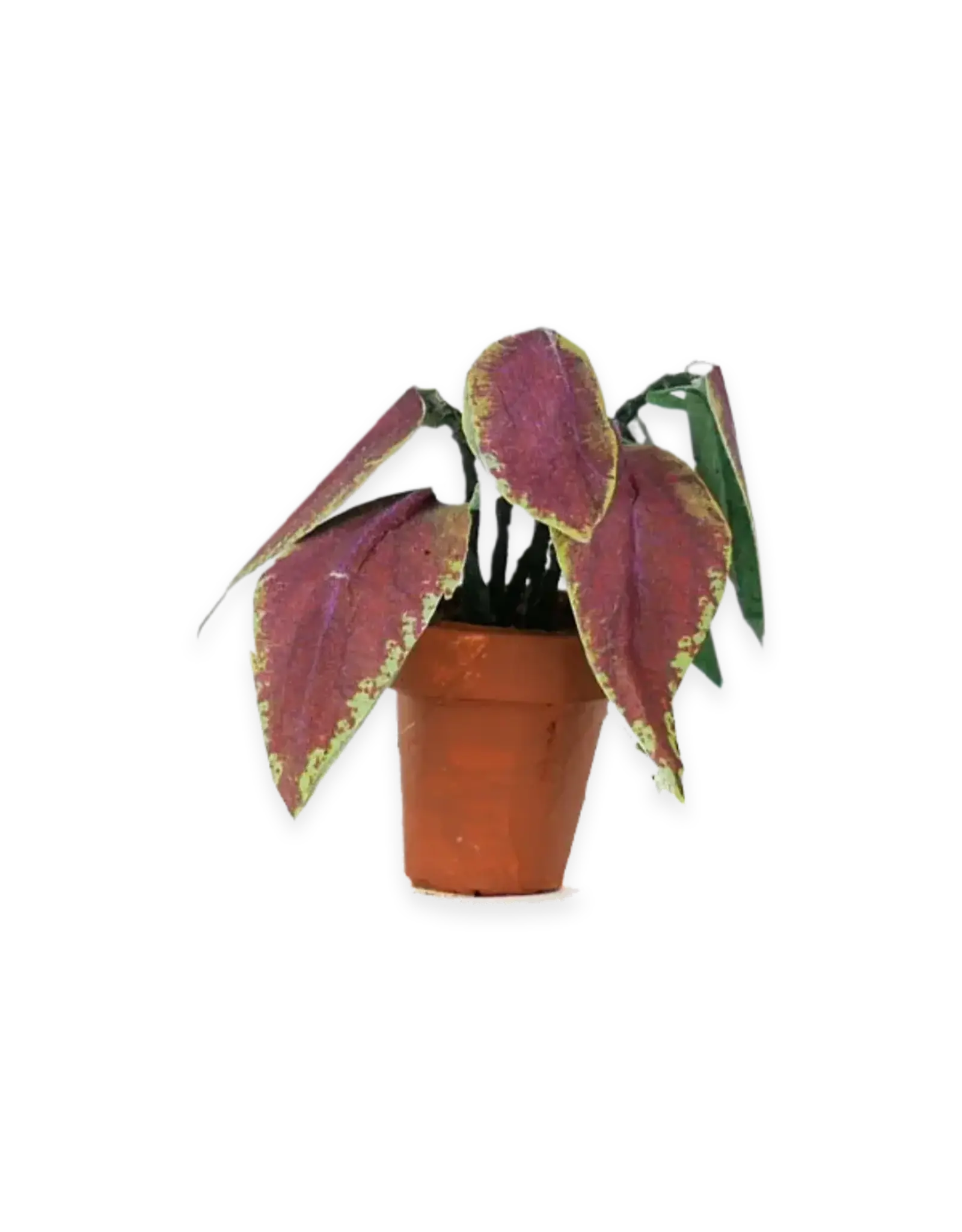 The Mouse Mansion Kit feuilles décoratives maison de souris 1:12 – accessoires miniatures en papier pour toutes les pièces