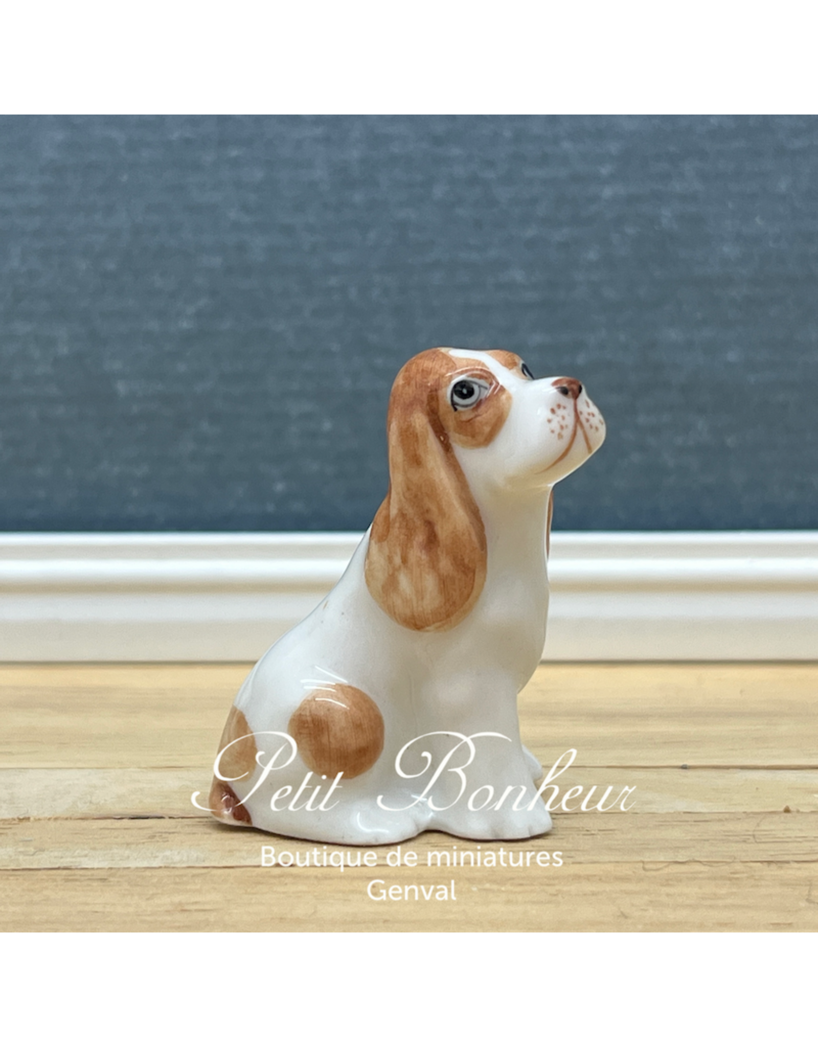 Klima Cocker Spaniel Blanc et roux (Klima miniature porcelaine)