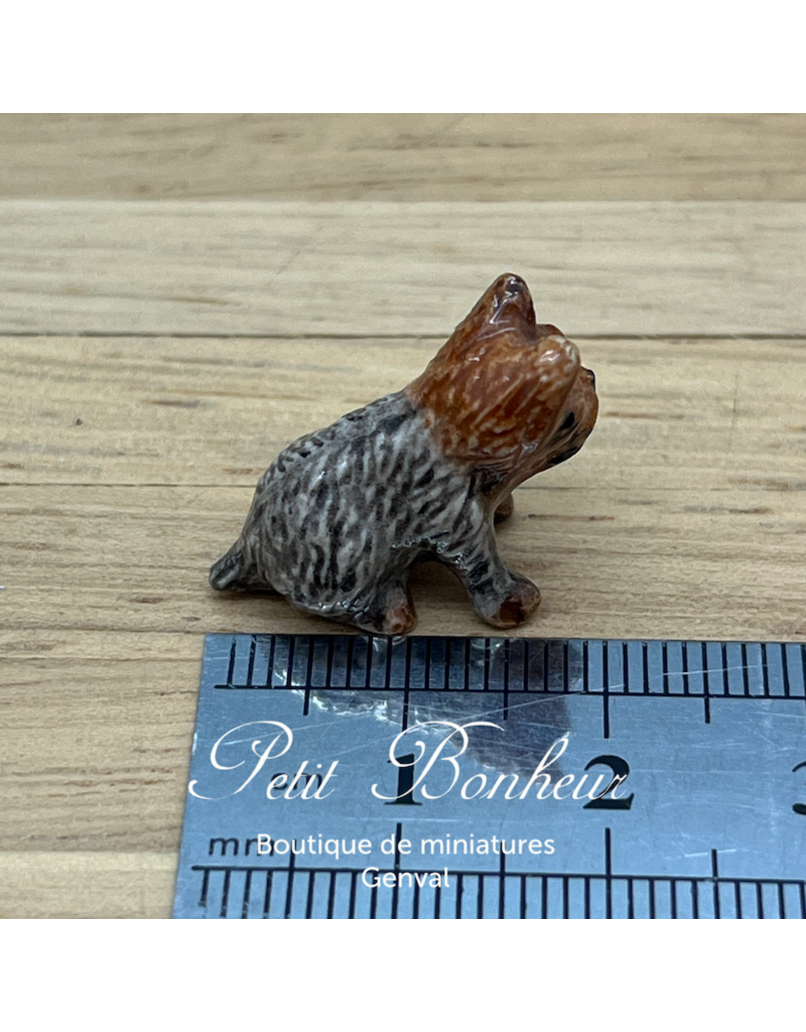 Klima Mini Yorkshire (Klima miniature porcelaine)
