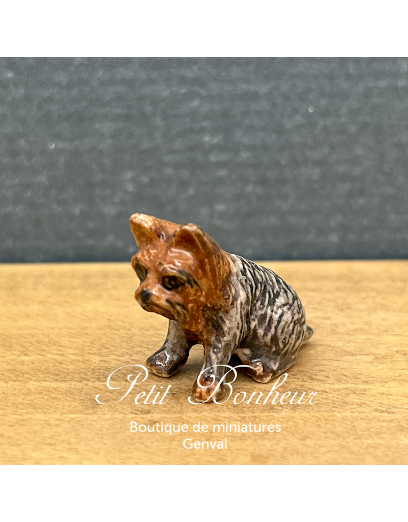 Klima Mini Yorkshire (Klima miniature porcelaine)