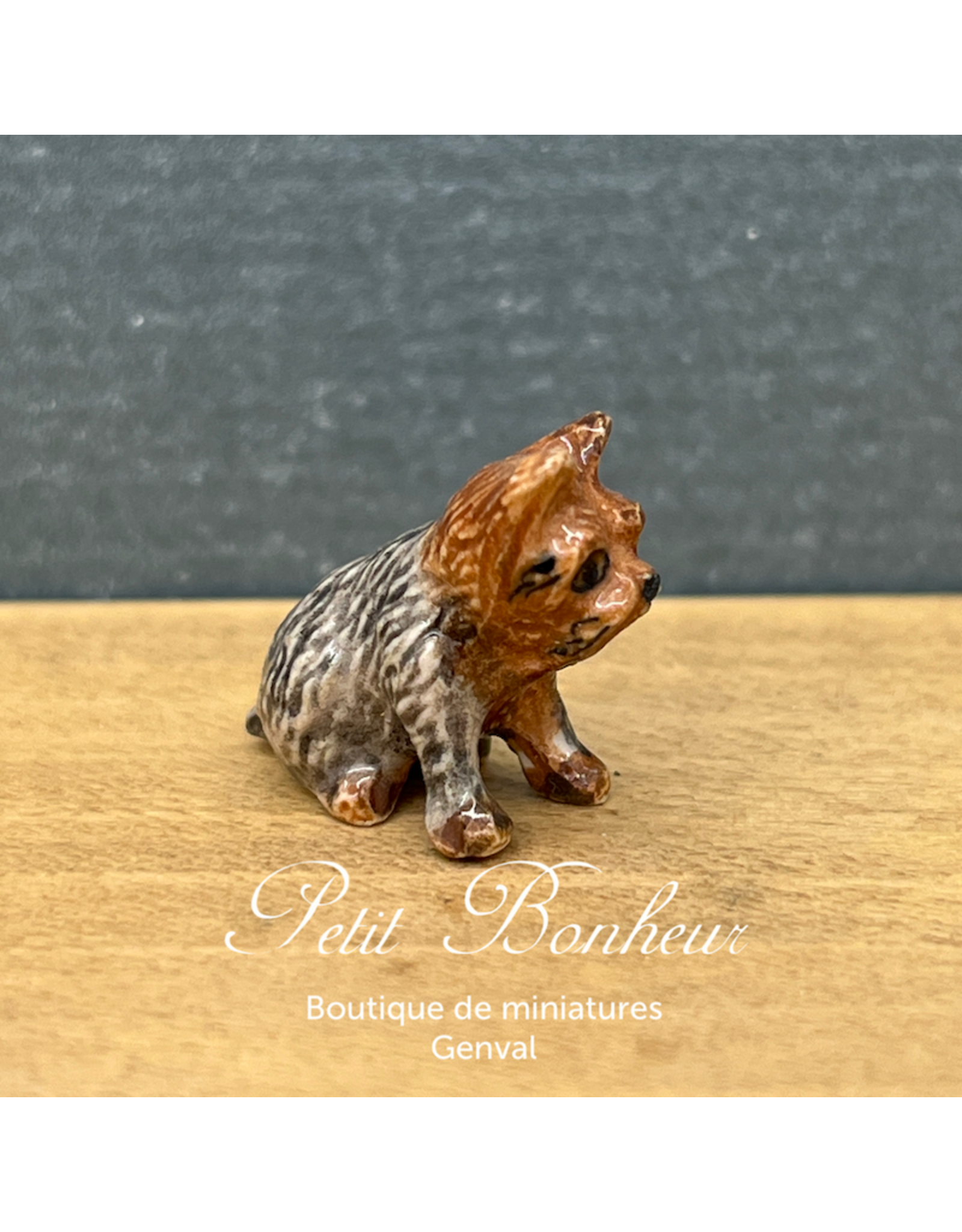 Klima Mini Yorkshire (Klima miniature porcelaine)