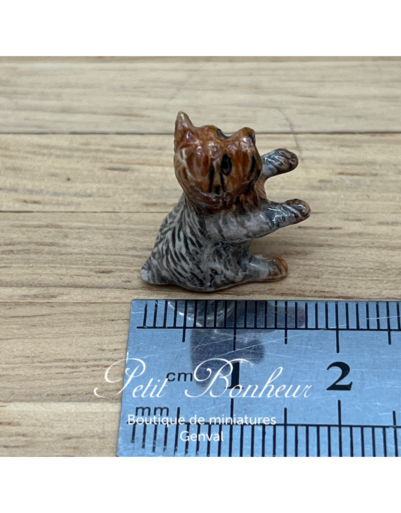 Klima Mini Yorkshire (Klima miniature porcelaine)