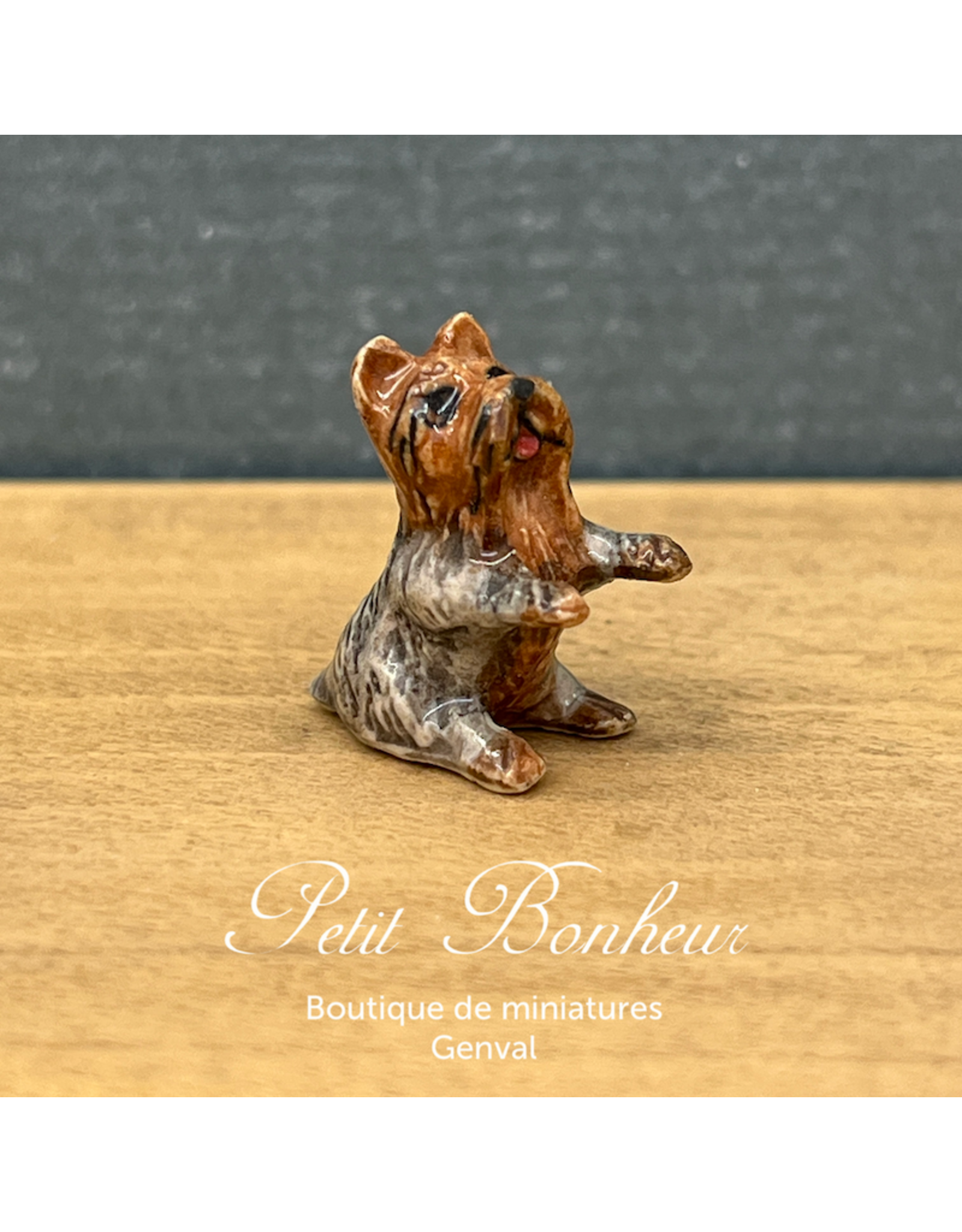 Klima Mini Yorkshire (Klima miniature porcelaine)