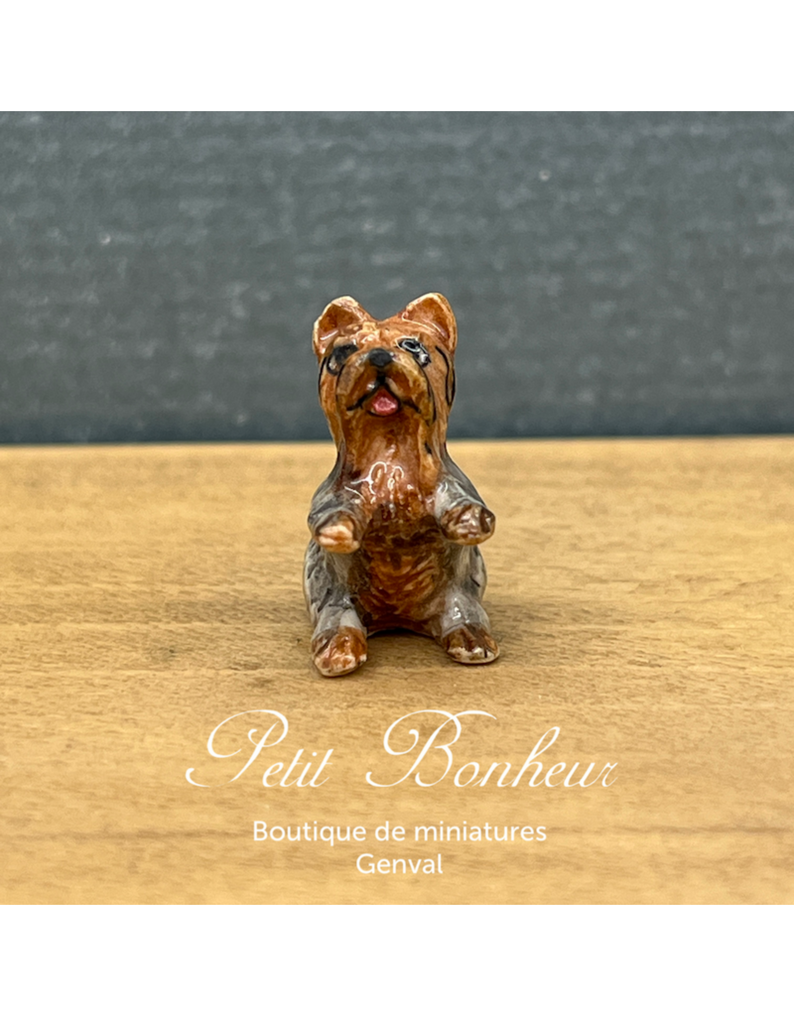 Klima Mini Yorkshire (Klima miniature porcelaine)