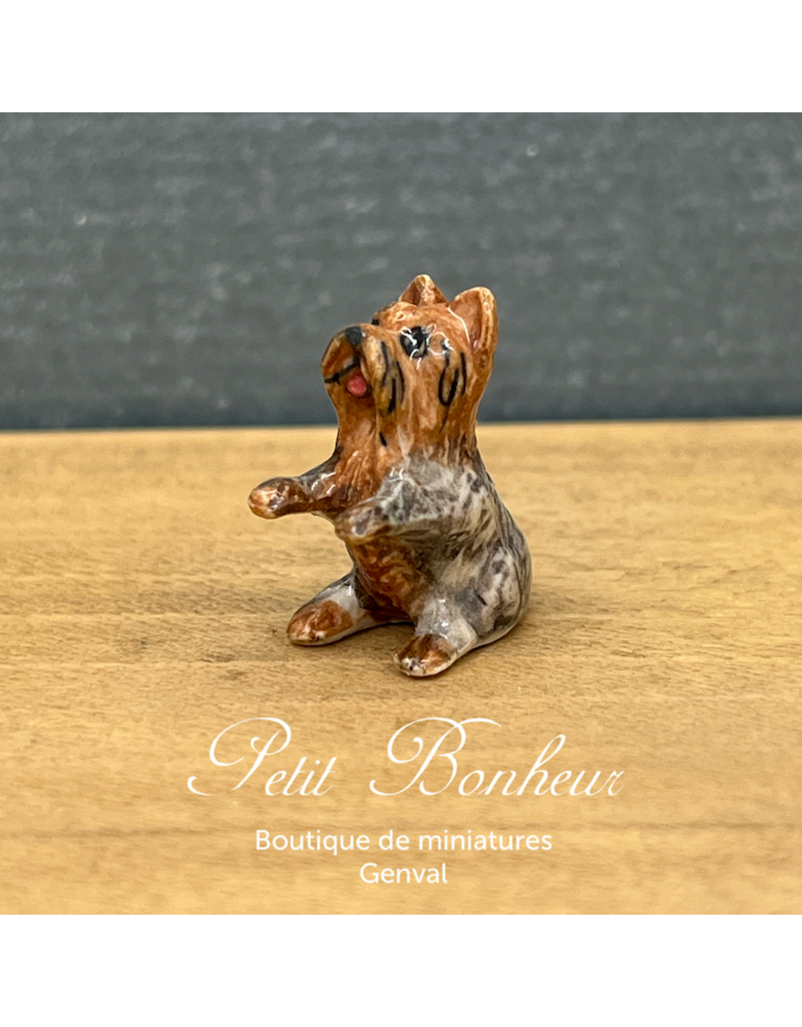 Klima Mini Yorkshire (Klima miniature porcelaine)