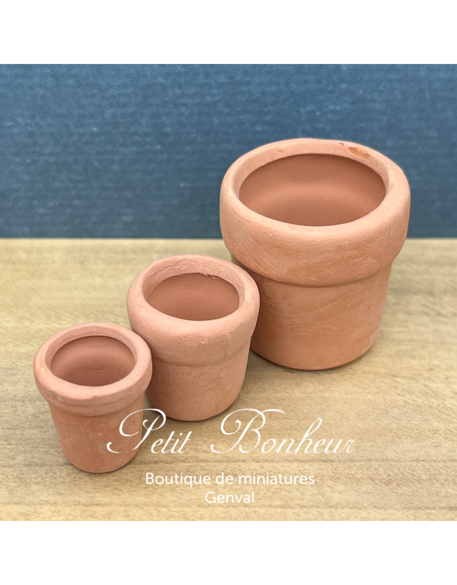 Pots de fleurs (3) miniatures 1:12