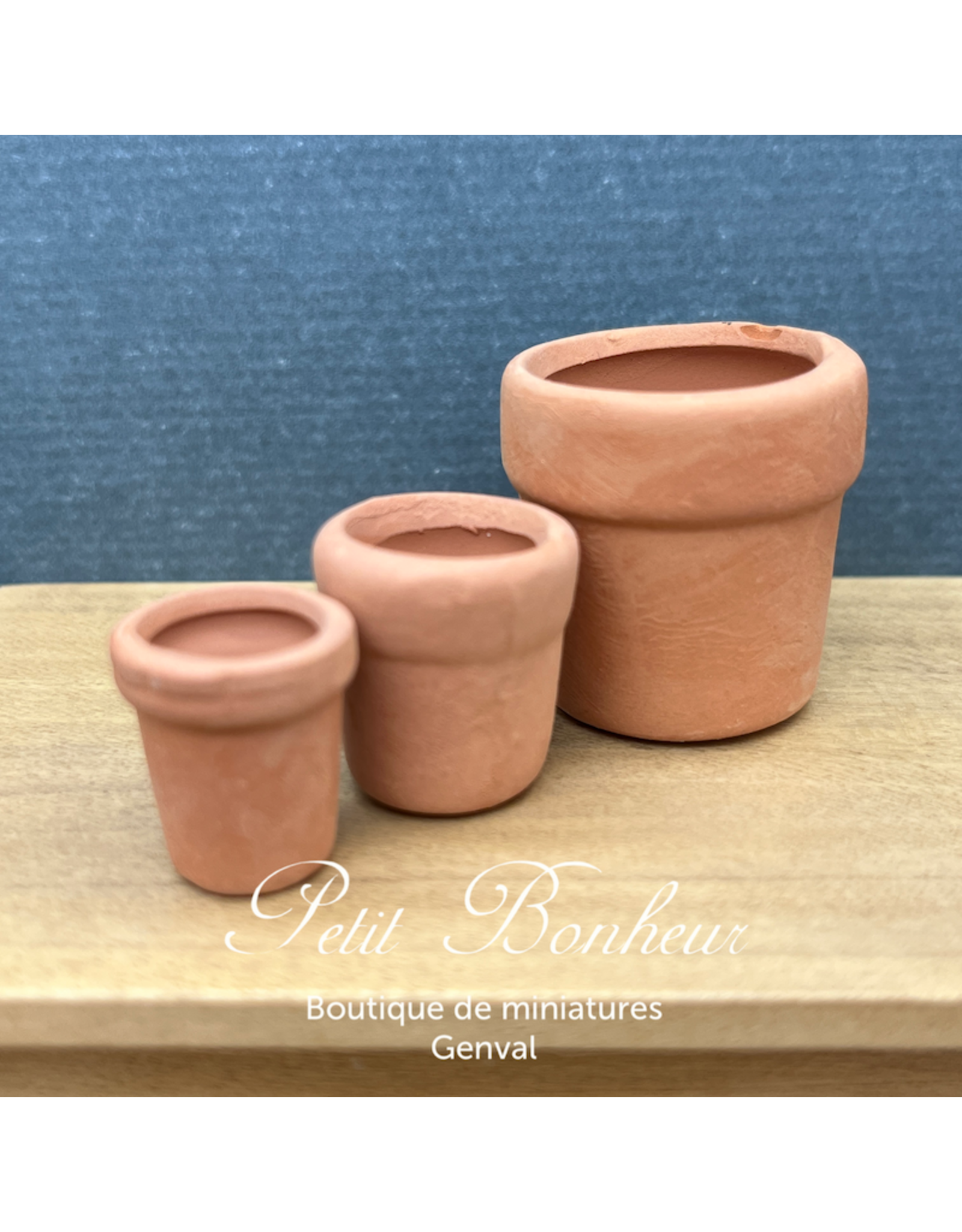 Pots de fleurs (3) miniatures 1:12
