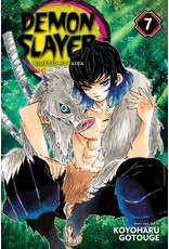 Demon Slayer 07 (Engelstalig) - Manga