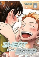 Sweat and Soap 10 (Engelstalig) - Manga