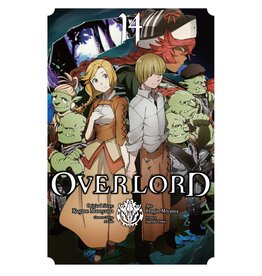 Overlord 14 (Engelstalig) - Manga