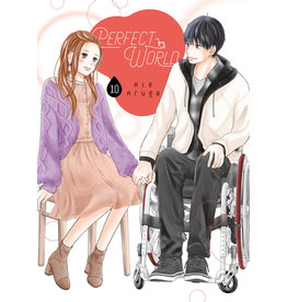 Perfect World 10 (English) - Manga