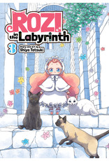 Rozi In The Labyrinth 03 (Engelstalig) - Manga