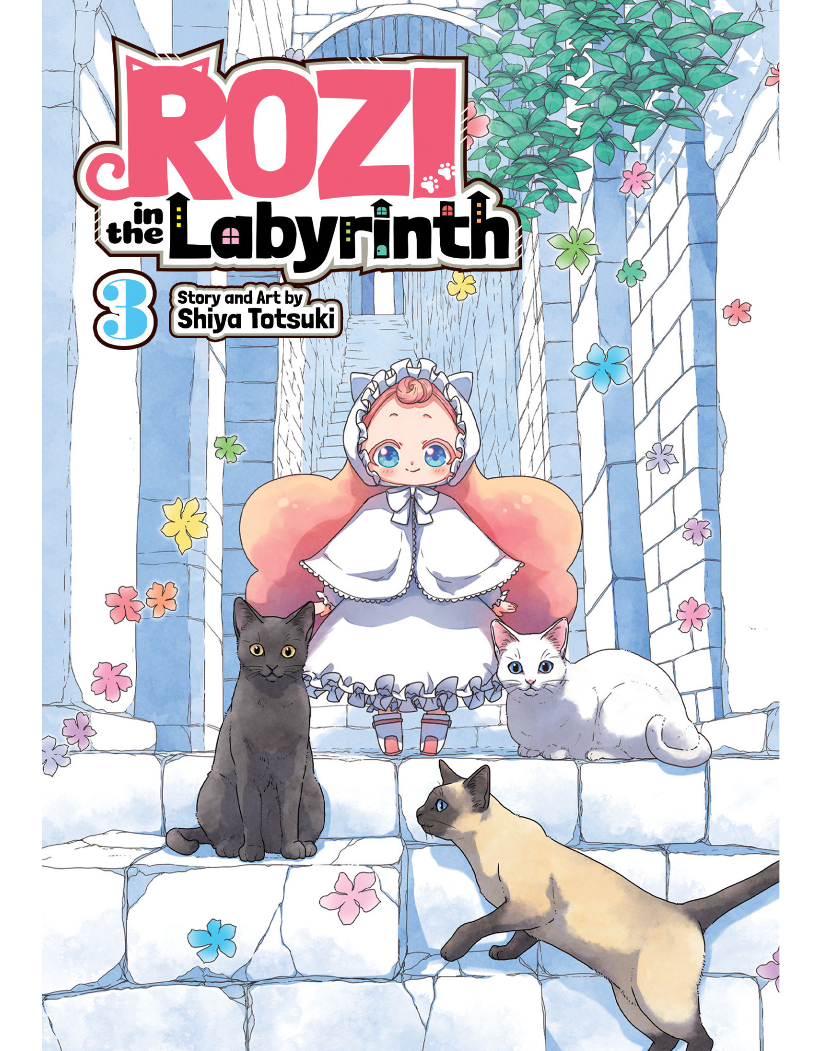 Rozi In The Labyrinth 03 (English) - Manga