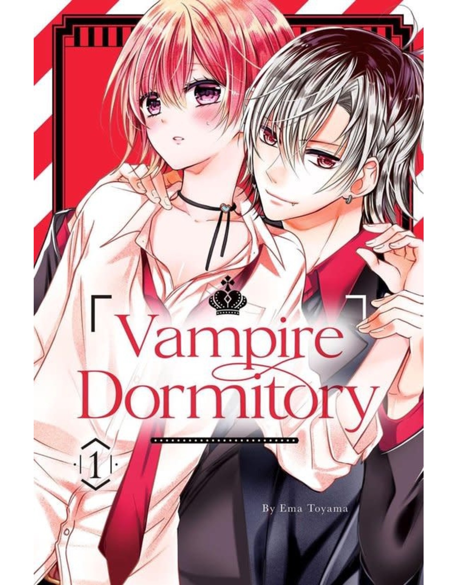 Vampire Dormitory 04 (Engelstalig) - Manga