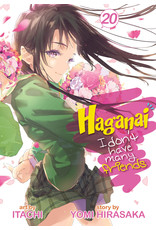 Haganai: I Don't Have Many Friends 20 (Engelstalig) - Manga