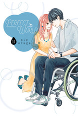 Perfect World 11 (Engelstalig) - Manga