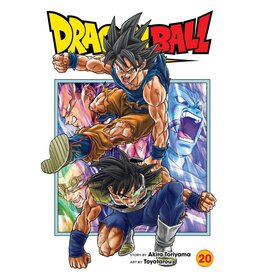 Dragon Ball Super 20 (English) - Manga