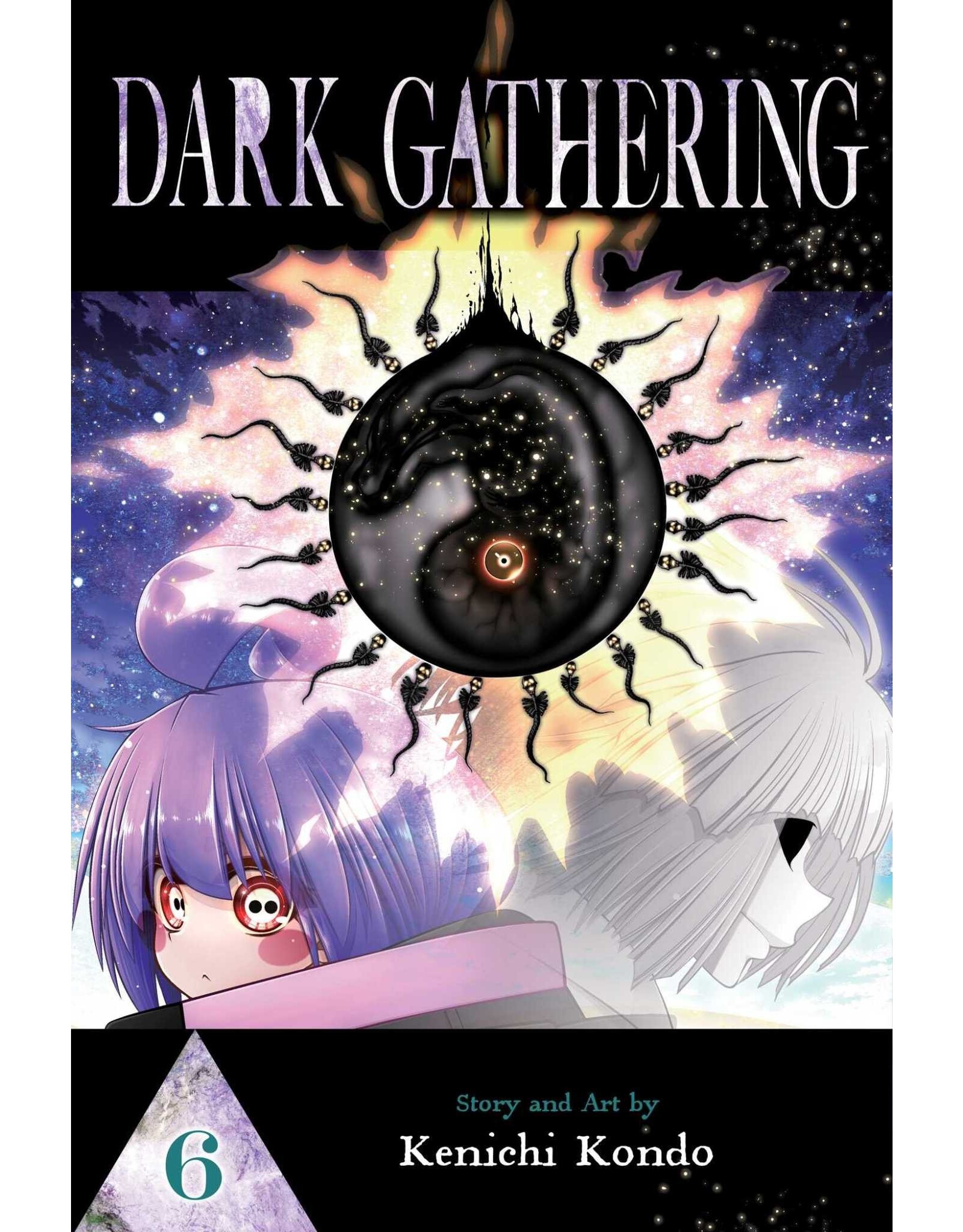 Dark Gathering 06 (Engelstalig) - Manga