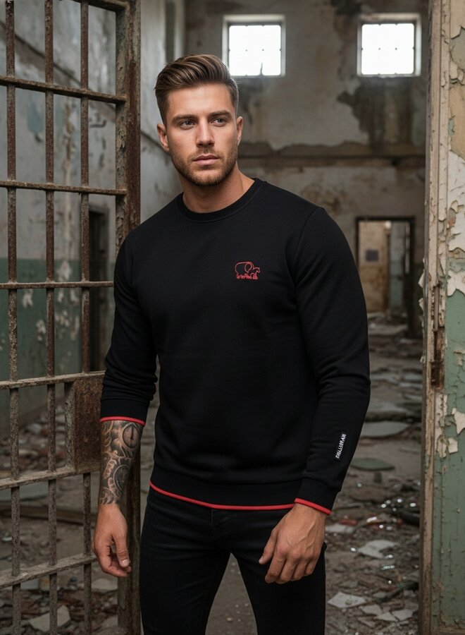 Basic Pullover 'Vano'  (rot)