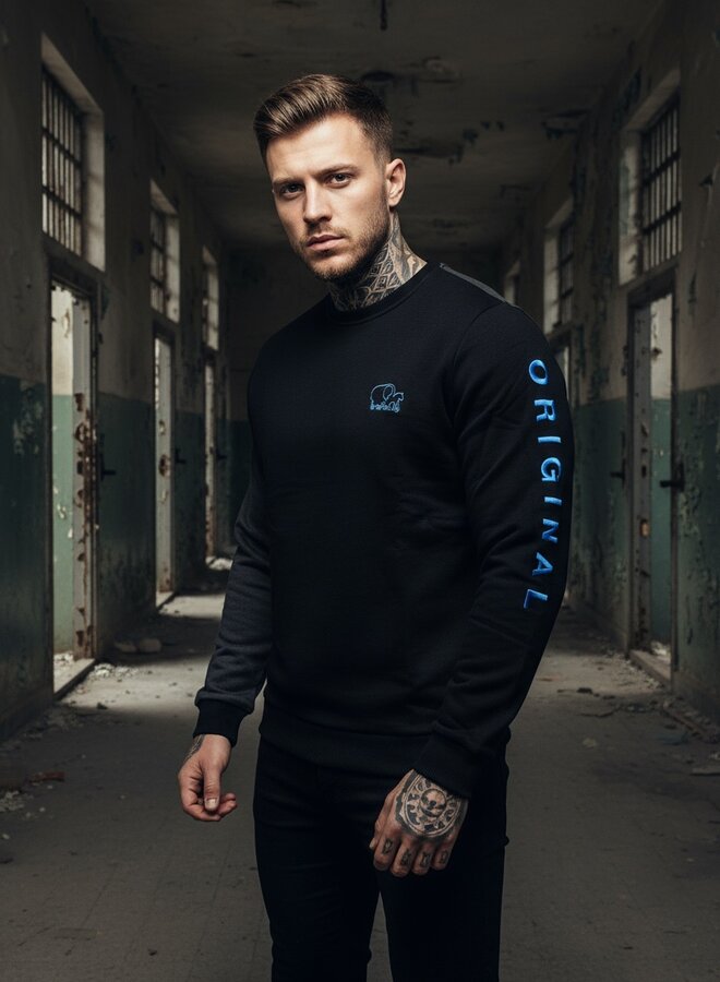 Basic sweater ROLLEMAN ORIGINAL 'Vinnie' (blue)