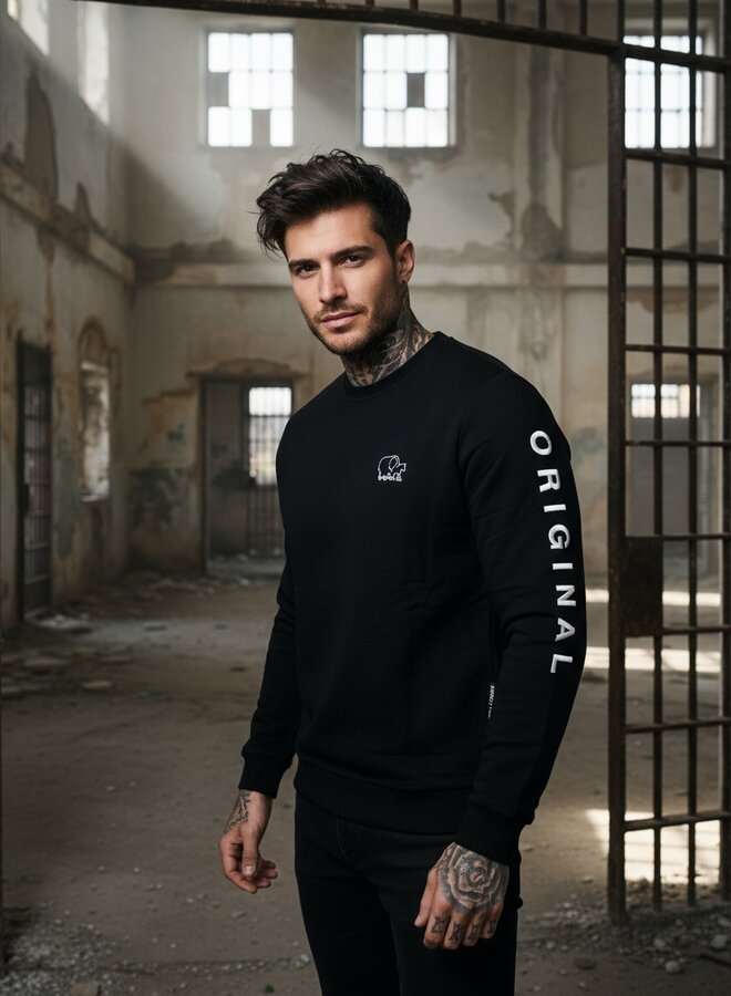 Basic Pullover ROLLEMAN ORIGINAL 'Vinnie' (weiz)