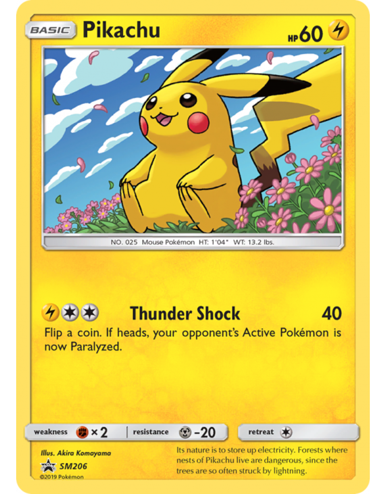 Pikachu SM 206