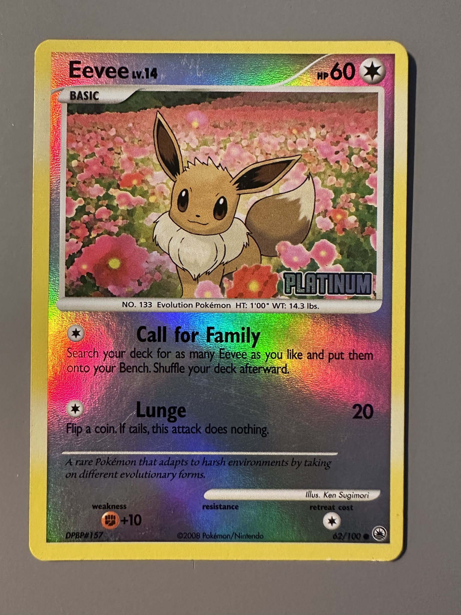 Eevee - 62/100 [Platinum]