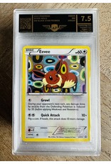 Eevee AP 7.5 Black Star Promo BW 94