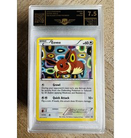 Eevee AP 7.5 Black Star Promo BW 94