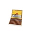 Montecristo  No. 5 Zigarren