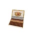 Romeo y Julieta Zigarren Short Churchills