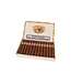 Romeo y Julieta Belicoso Zigarren