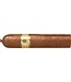 Trinidad Vigia