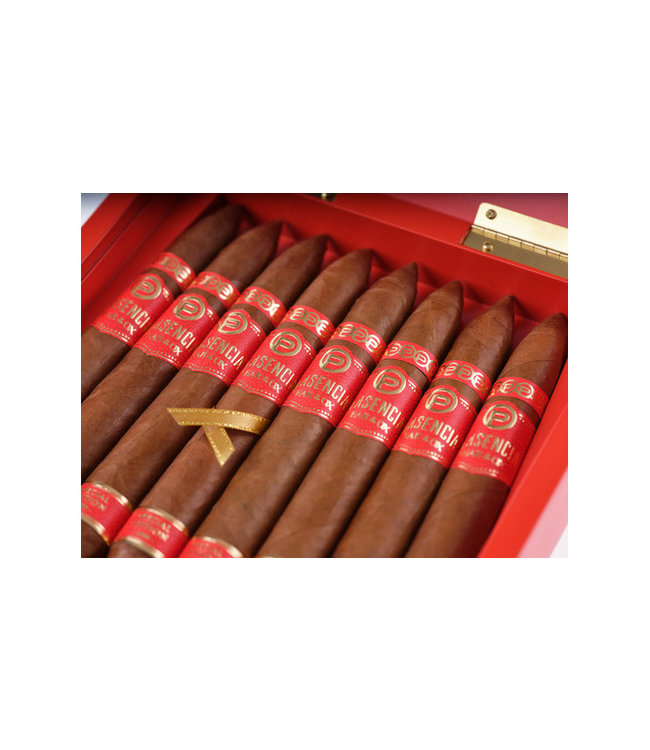 Plasencia Limitada  Year of the Ox Salomon Zigarren