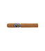 Leonel  Series 550 Robusto