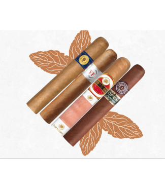 Zigarren -Einsteiger Sampler
