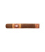 Perdomo Nicaragua Bourbon Barrel Aged Sun Grown Epicure  Zigarren
