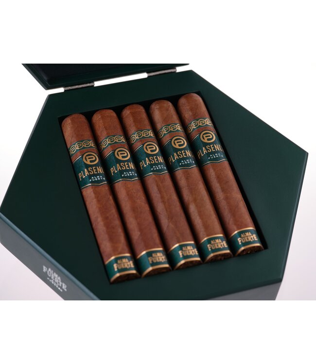 Plasencia  Alma Fuerte Sixto I Hexagono Colorado Claro (6x60)