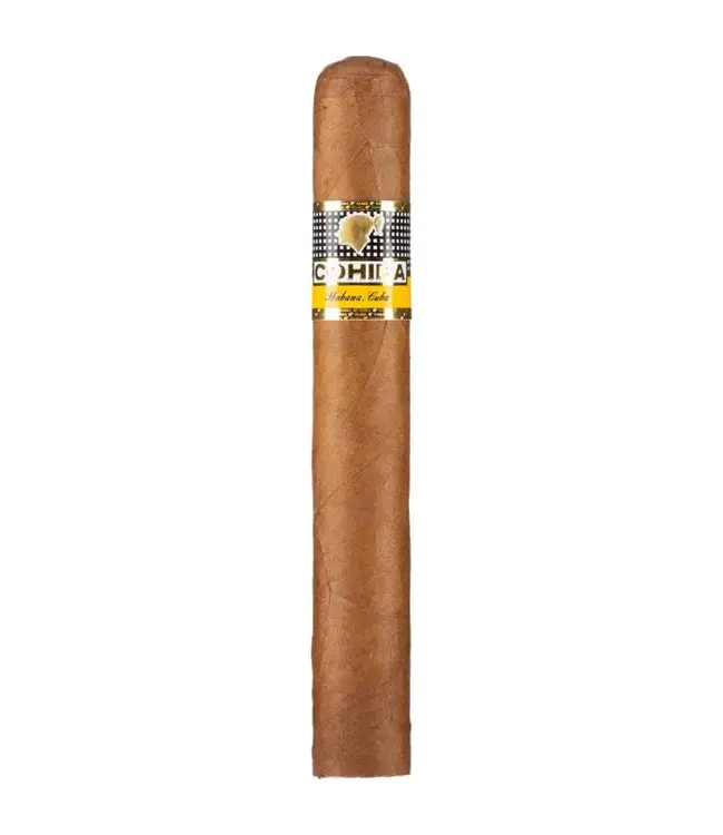 Cohiba   Siglo Vi Zigarren