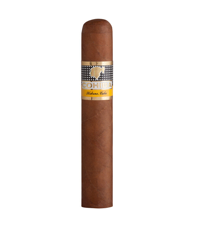 Cohiba   Robustos