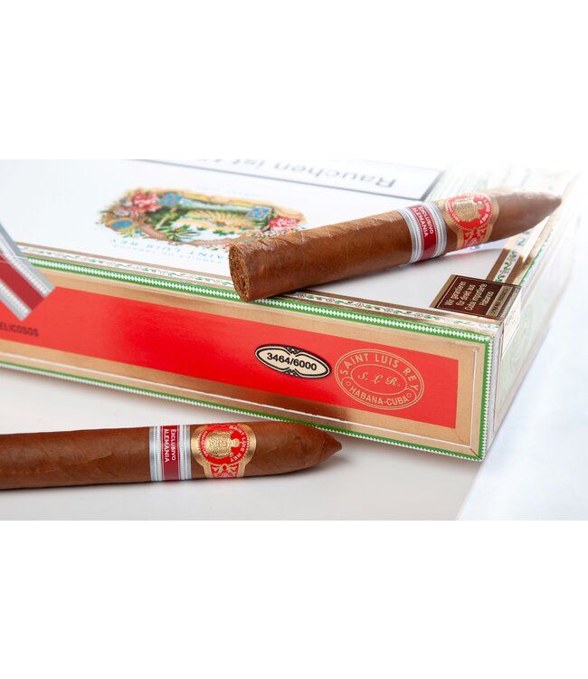 Saint Luis Rey Edición Regional Belicosos (Alemania 2022)