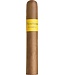 Montosa  Amarillo Robusto