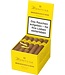 Montosa  Amarillo Robusto