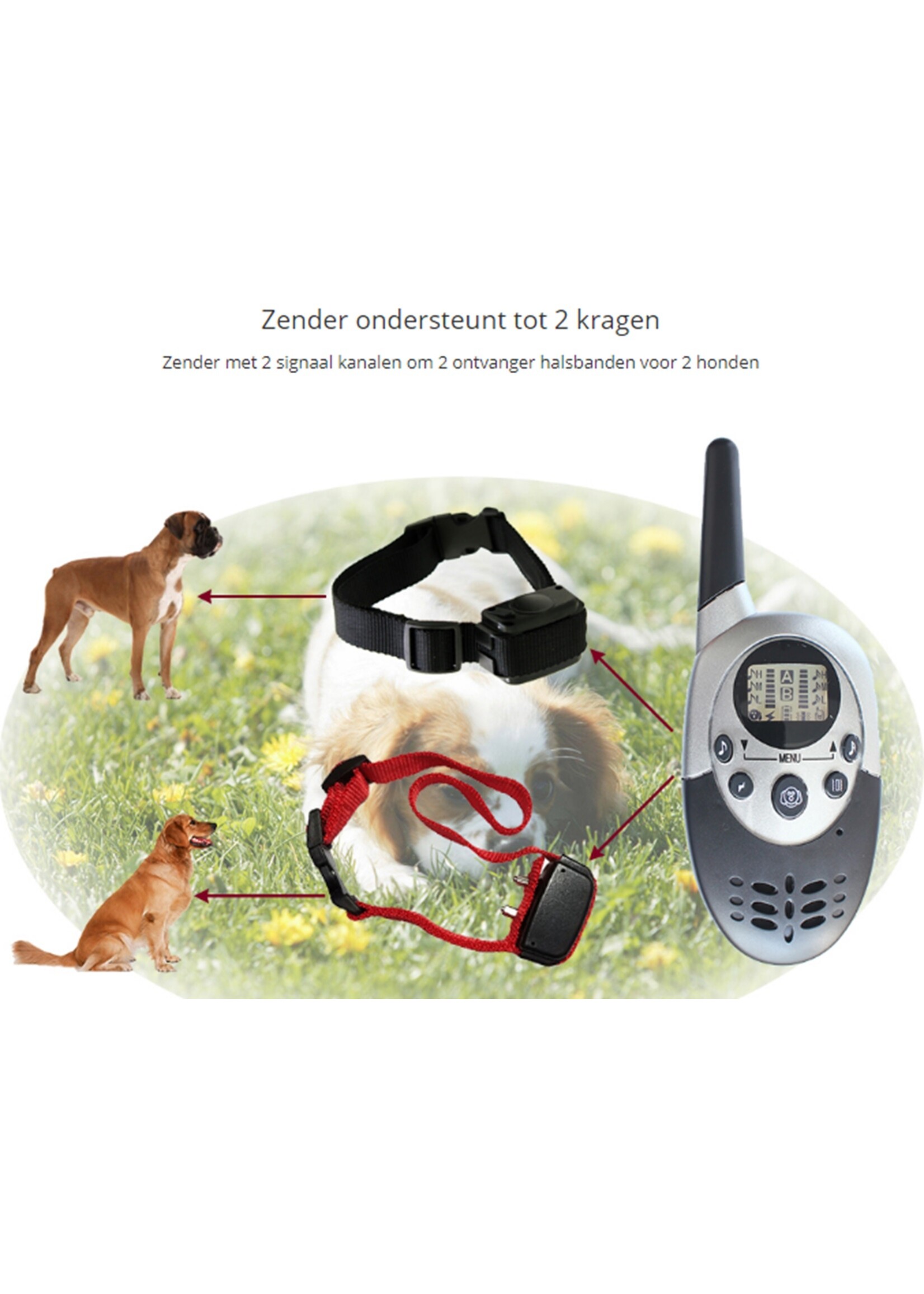 Trainingsband – trainingsband voor u hond met afstandsbediening - 100 levels - 300 meter - Halsomtrek van 42 tot 60cm – Voor 2 honden
