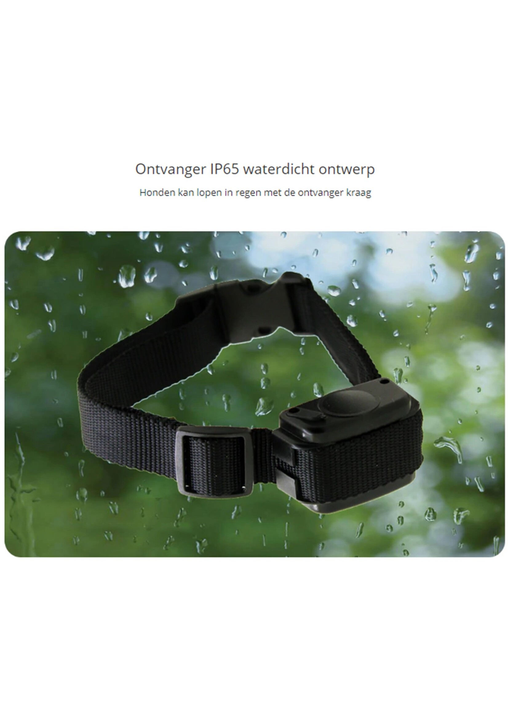 Trainingsband – trainingsband voor u hond met afstandsbediening - 100 levels - 300 meter - Halsomtrek van 42 tot 60cm – Voor 2 honden