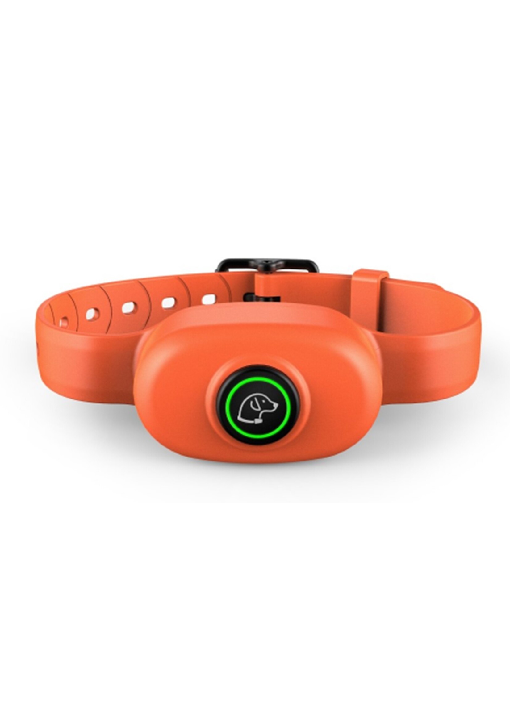 Trainingshalsband - trainingsband voor u hond met afstandsbediening - Waterdicht - Oplaadbaar –DOG300 - Voor 1 hond