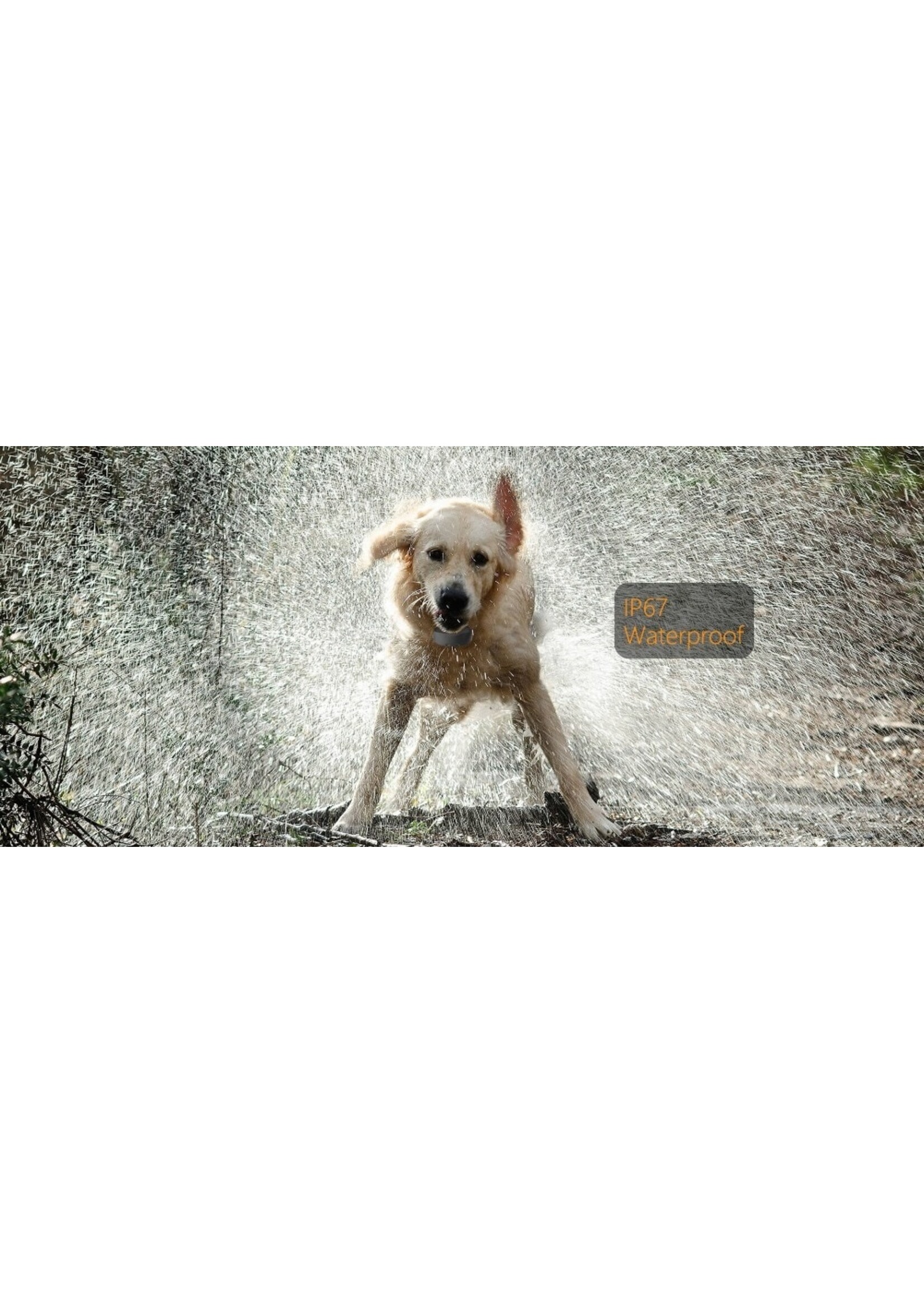 Anti-Blafband - Hondentrainingshalsband - Verstelbaar anti-blafapparaat voor honden - 7 niveau - waterdicht - M68E