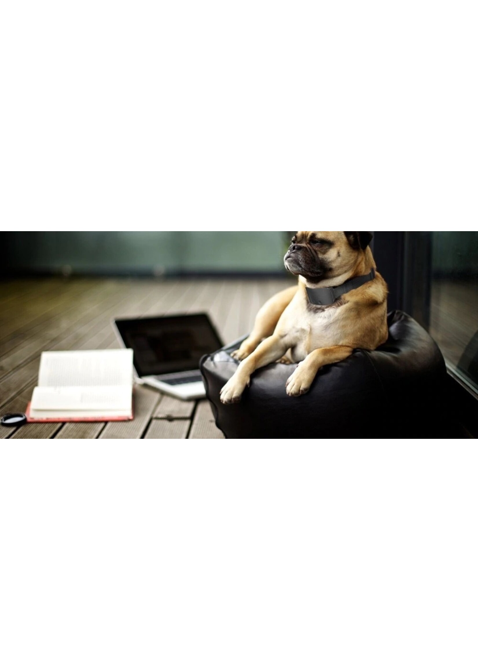 Anti-Blafband - Hondentrainingshalsband - Verstelbaar anti-blafapparaat voor honden - 7 niveau - waterdicht - M68E